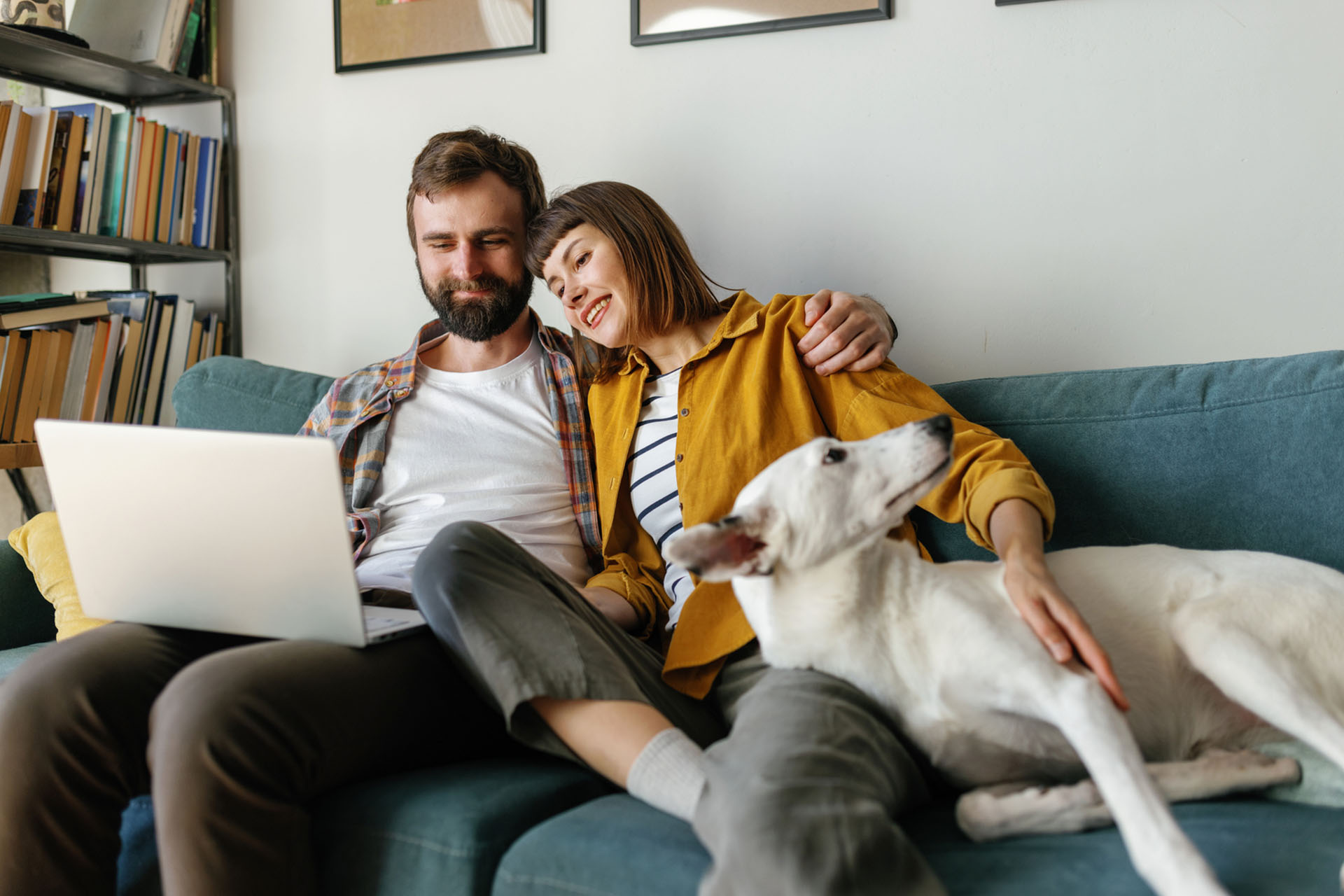 couple with dog on their laptop