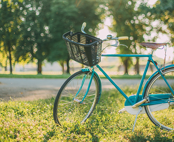 A bicycle parked by a tree in a park.